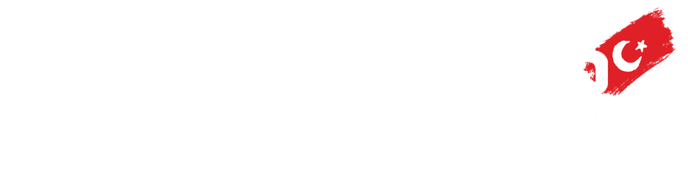 consultisor logo white